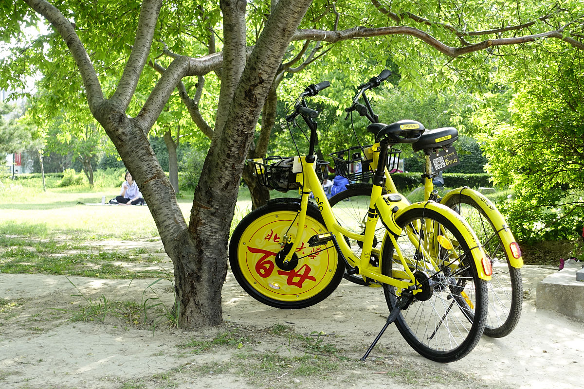 河北工业大学120周年校庆朗诵稿：致敬百年辉煌，展望美好未来