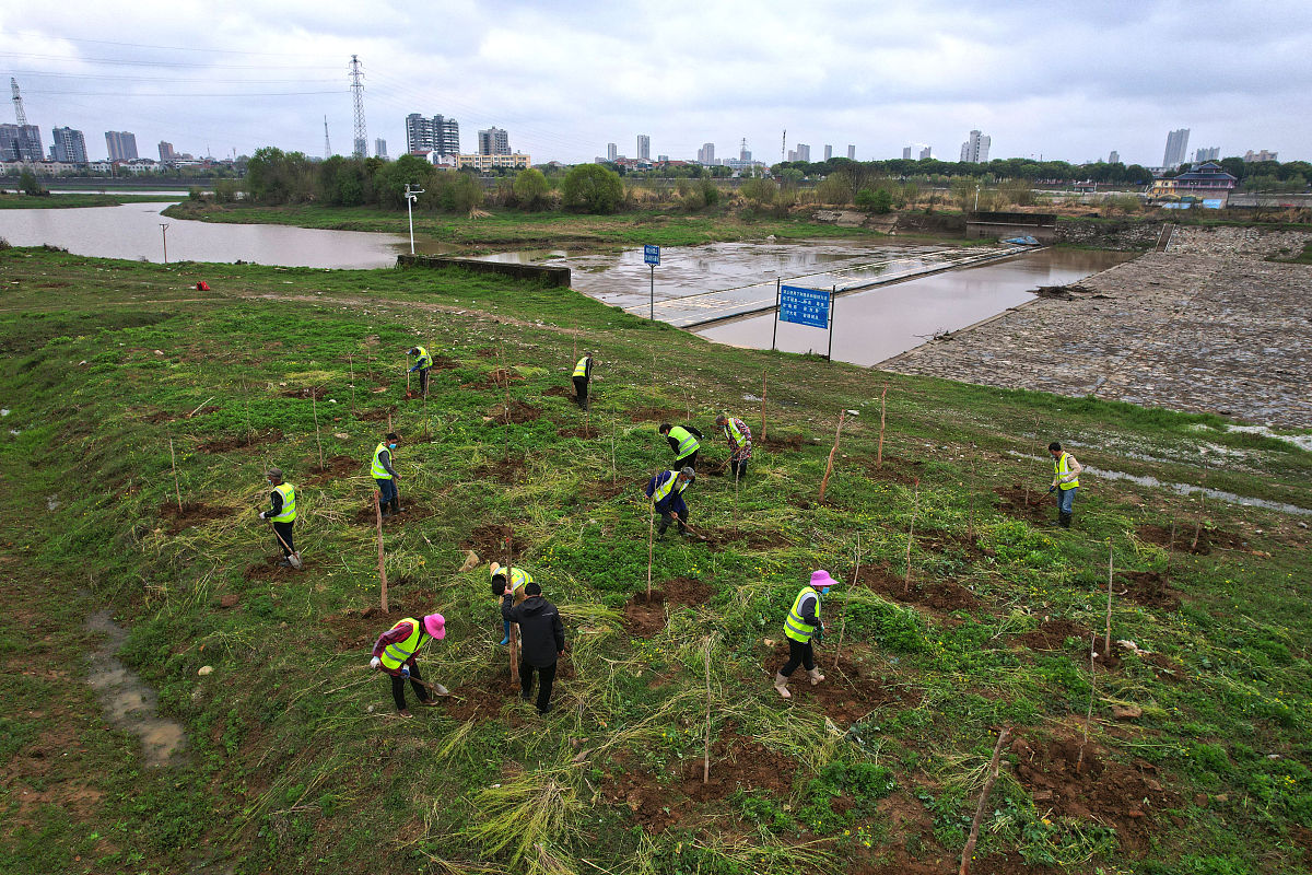水阳江生态调研实践收获：生态系统认知与实践技能提升