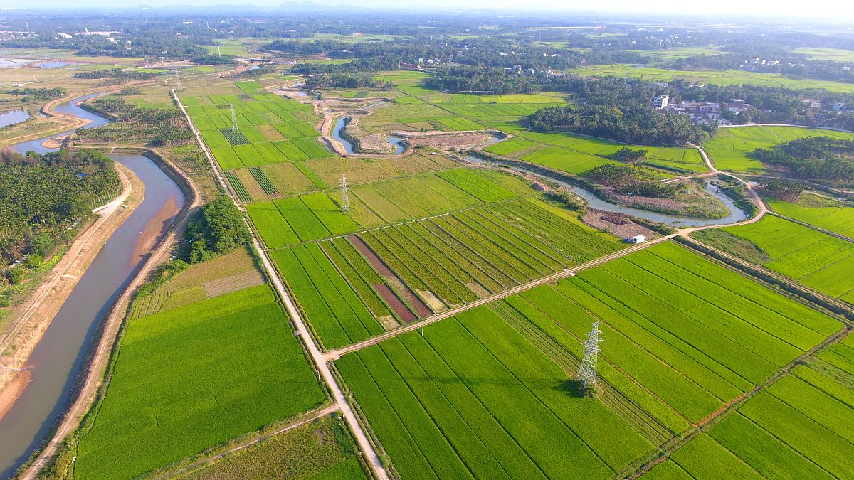 儋州、洋浦农业投资考察调研：聚焦国内上市公司发展机遇