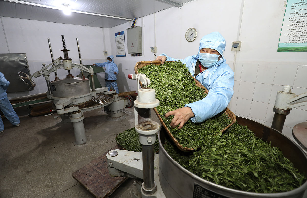 峨眉山市职业技术学校茶叶生产与加工专业发展前景分析