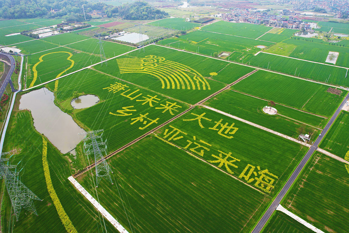 杭州中专学校2022年发展趋势：新增学校、教学提升、招生变化