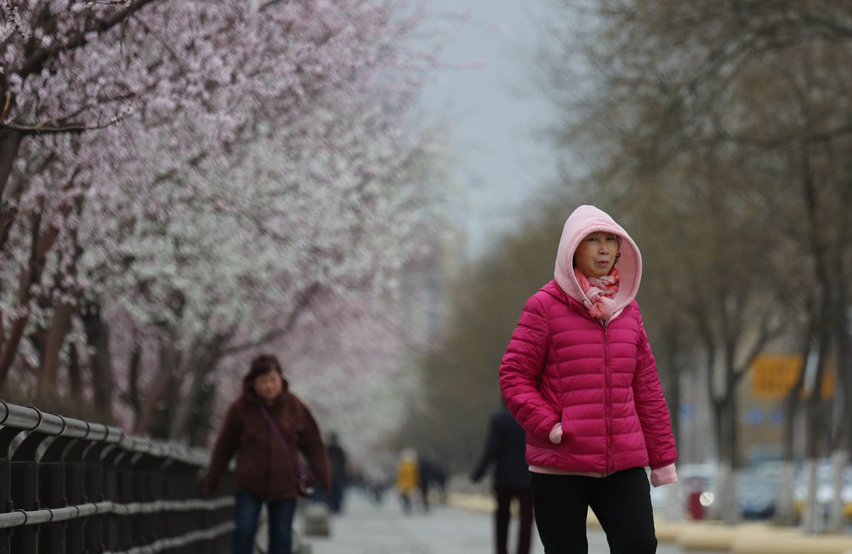 倒春寒发生的日期的变化趋势既有提前也有推迟