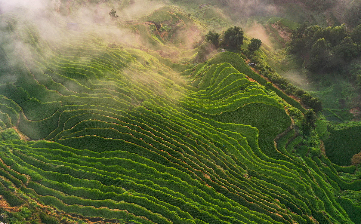 贵州省绿色发展水平低的原因分析