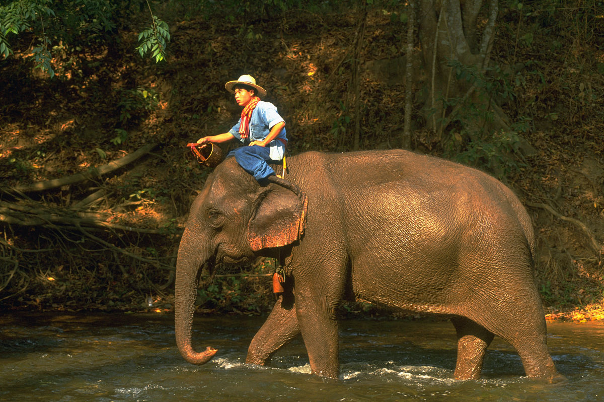 Historical-background-of-Burma-under-British-colonization-rule-in-Orwell’s-Shooting-an-elephant
