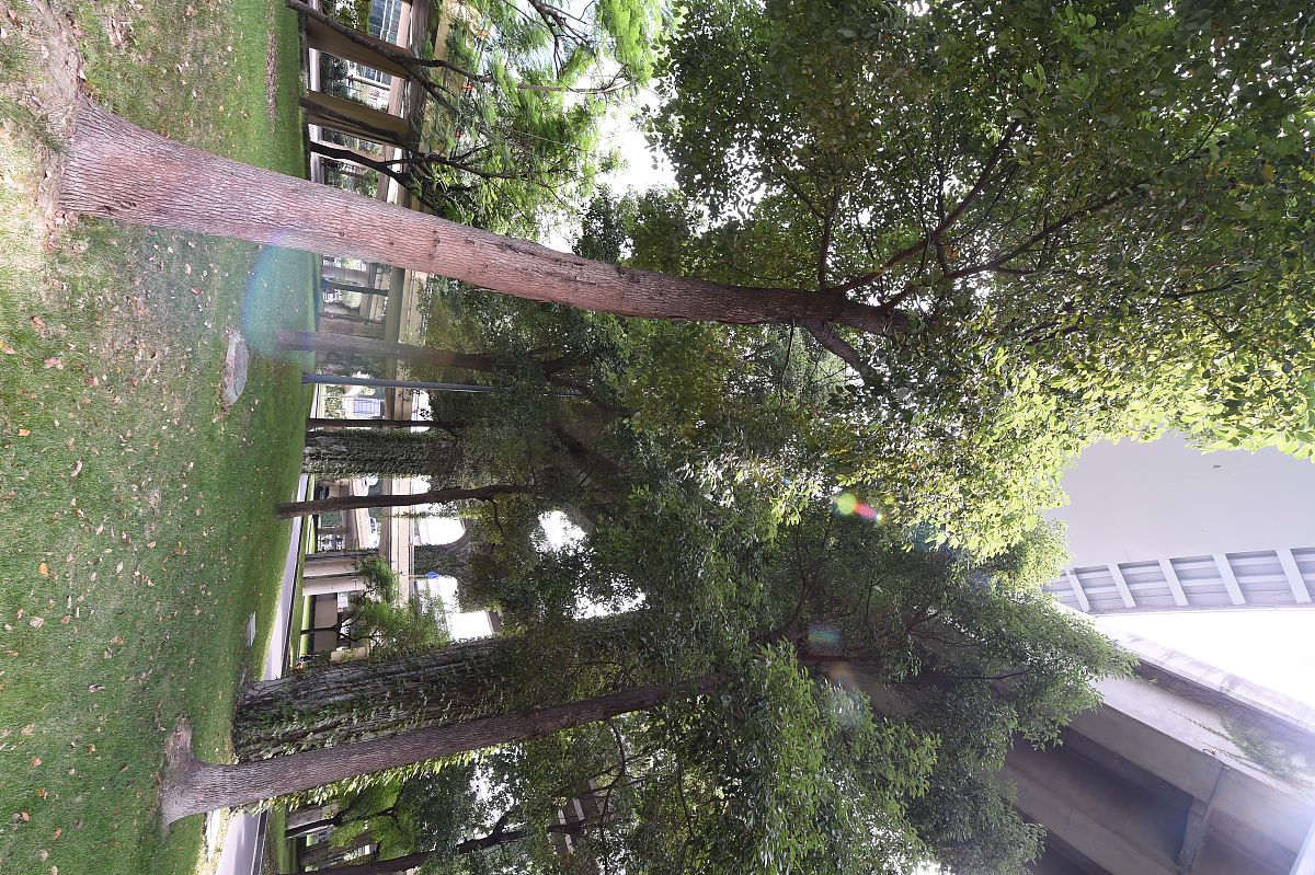 (如需下载使用,请务必署名:红星新闻 王欢/视觉中国)2020年6月19日, 