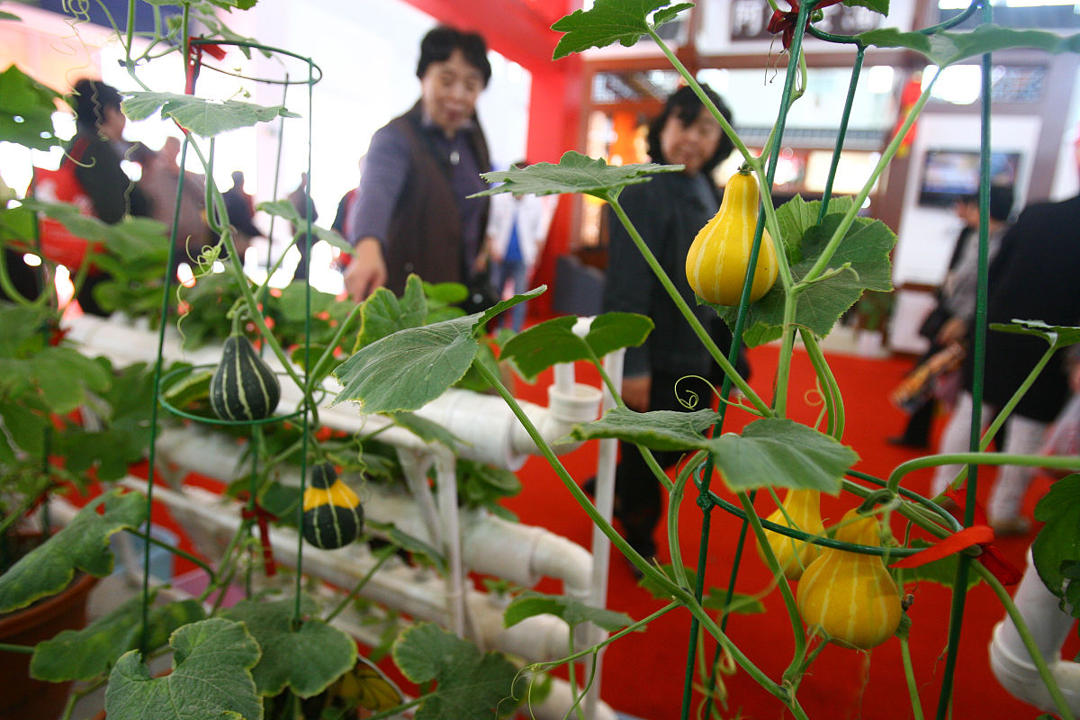 (宁波,杭州平面媒体11月6日13时前请不要下载)  2010年11月5日,为期四