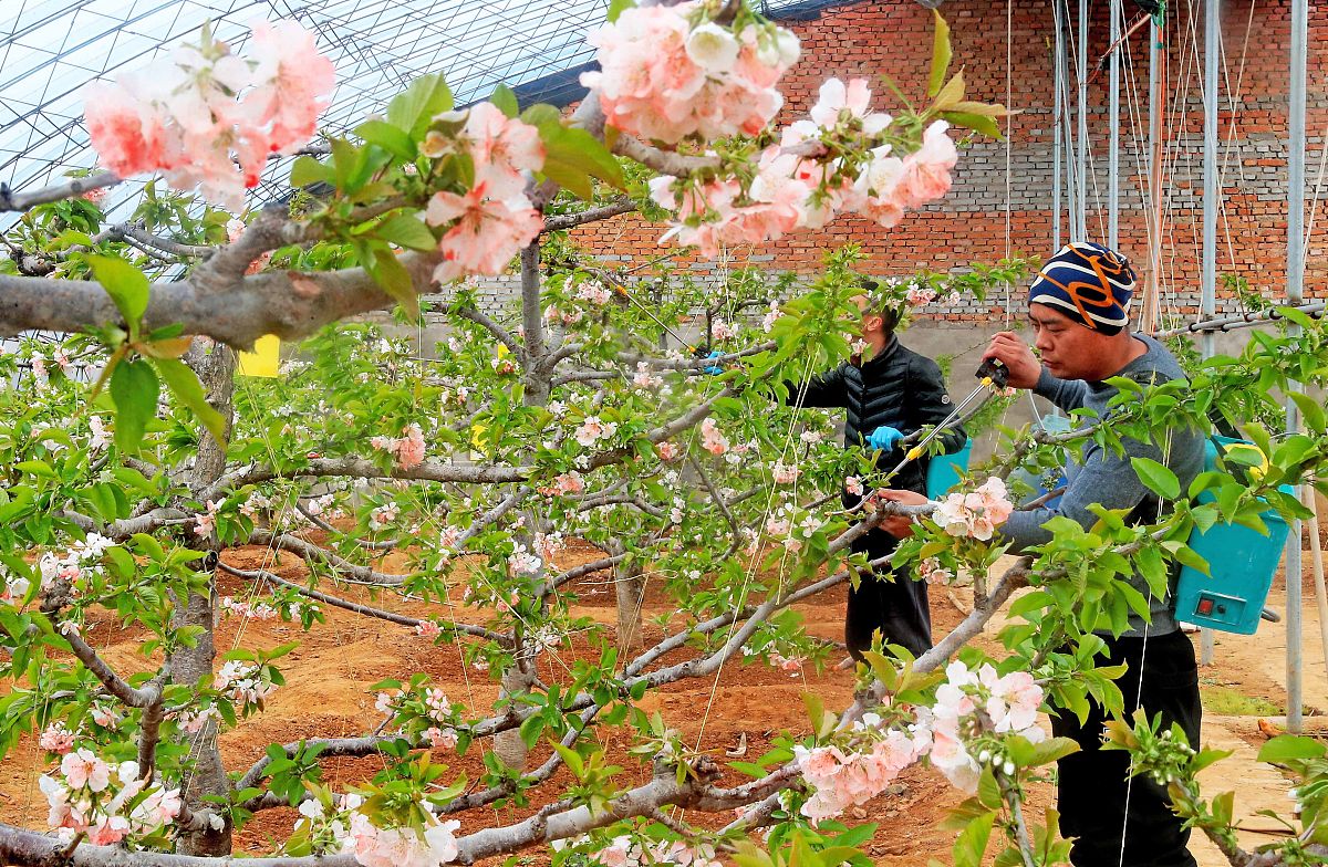 秦皇岛300分能上卫校吗？2022年卫校招生标准分析