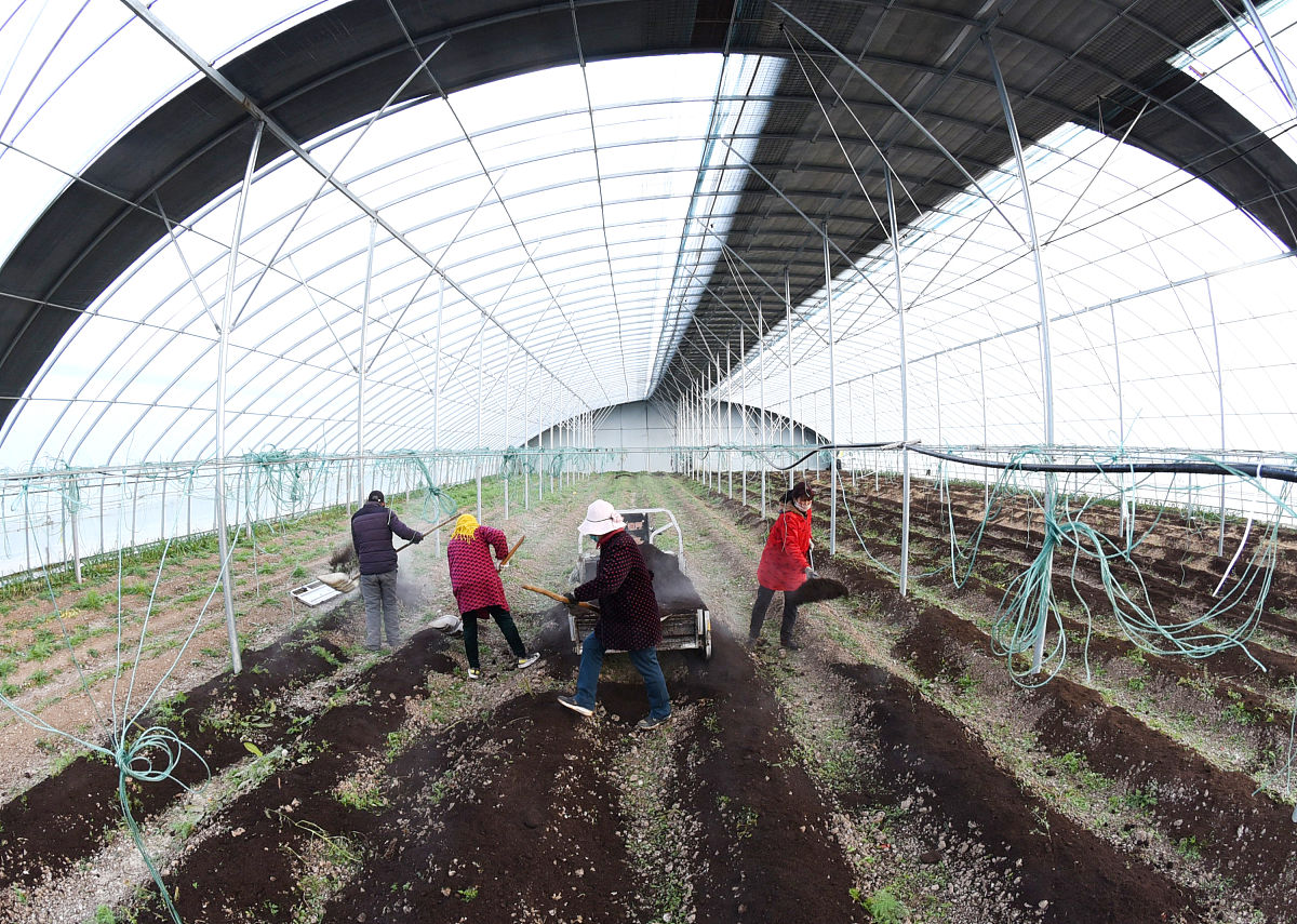 生物有机肥可以喂幼虾吗