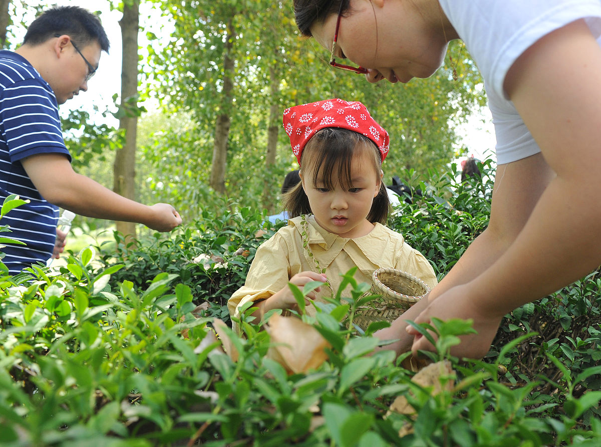 一年级竞选学习委员演讲稿：小明竞选宣言