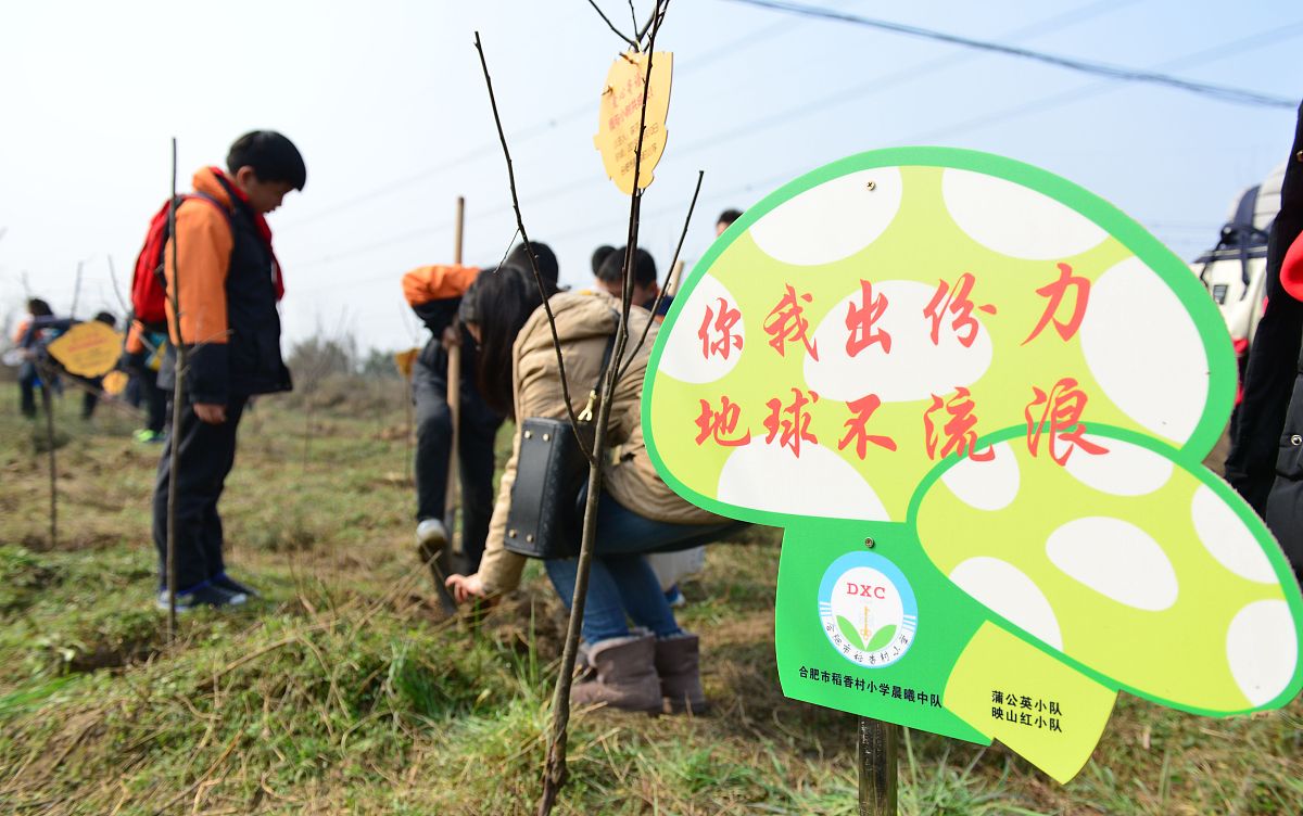 乡村禁烧：守护绿水青山，共建美好家园