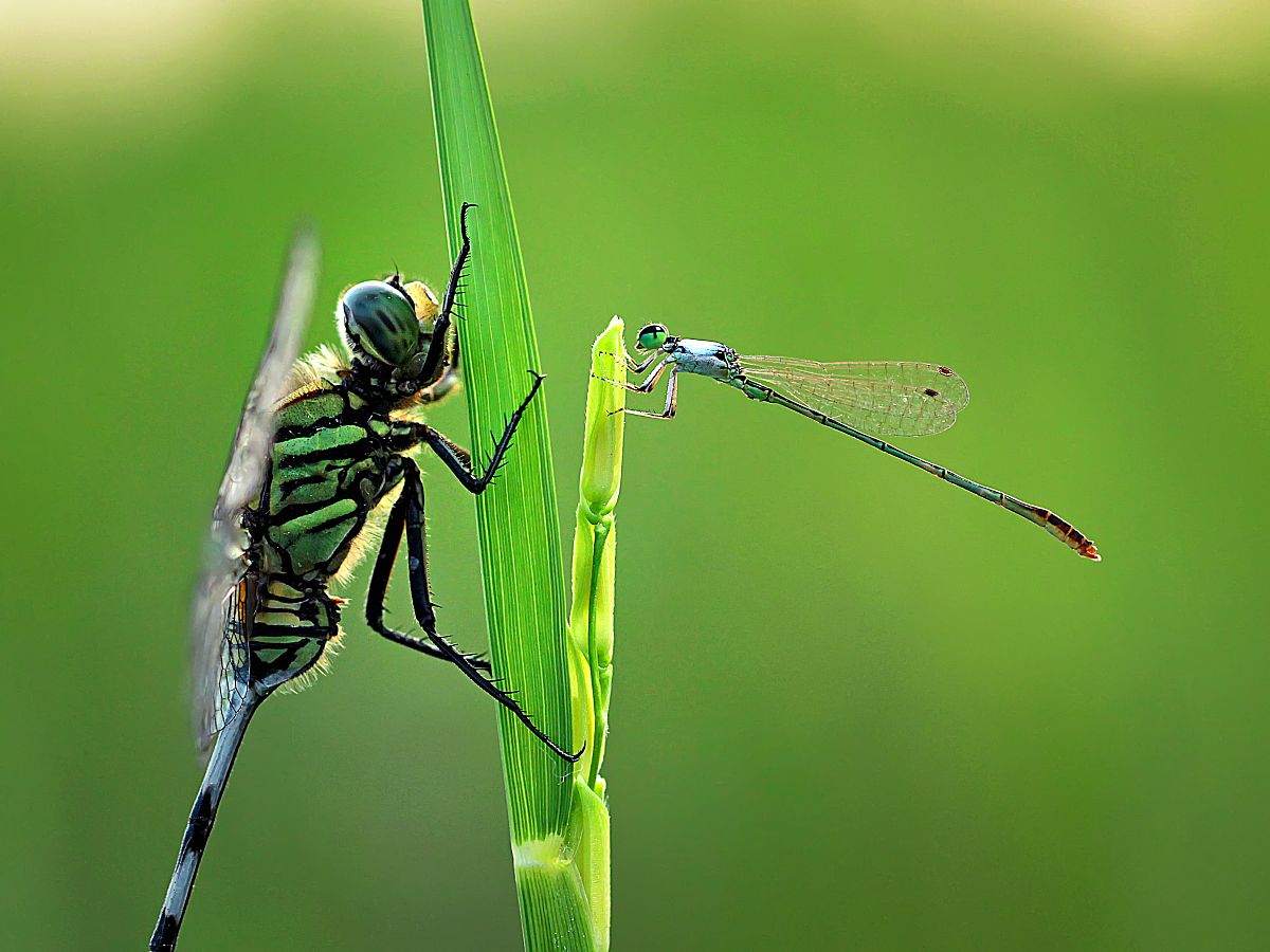 古代陌生人哥哥的叫法是什么