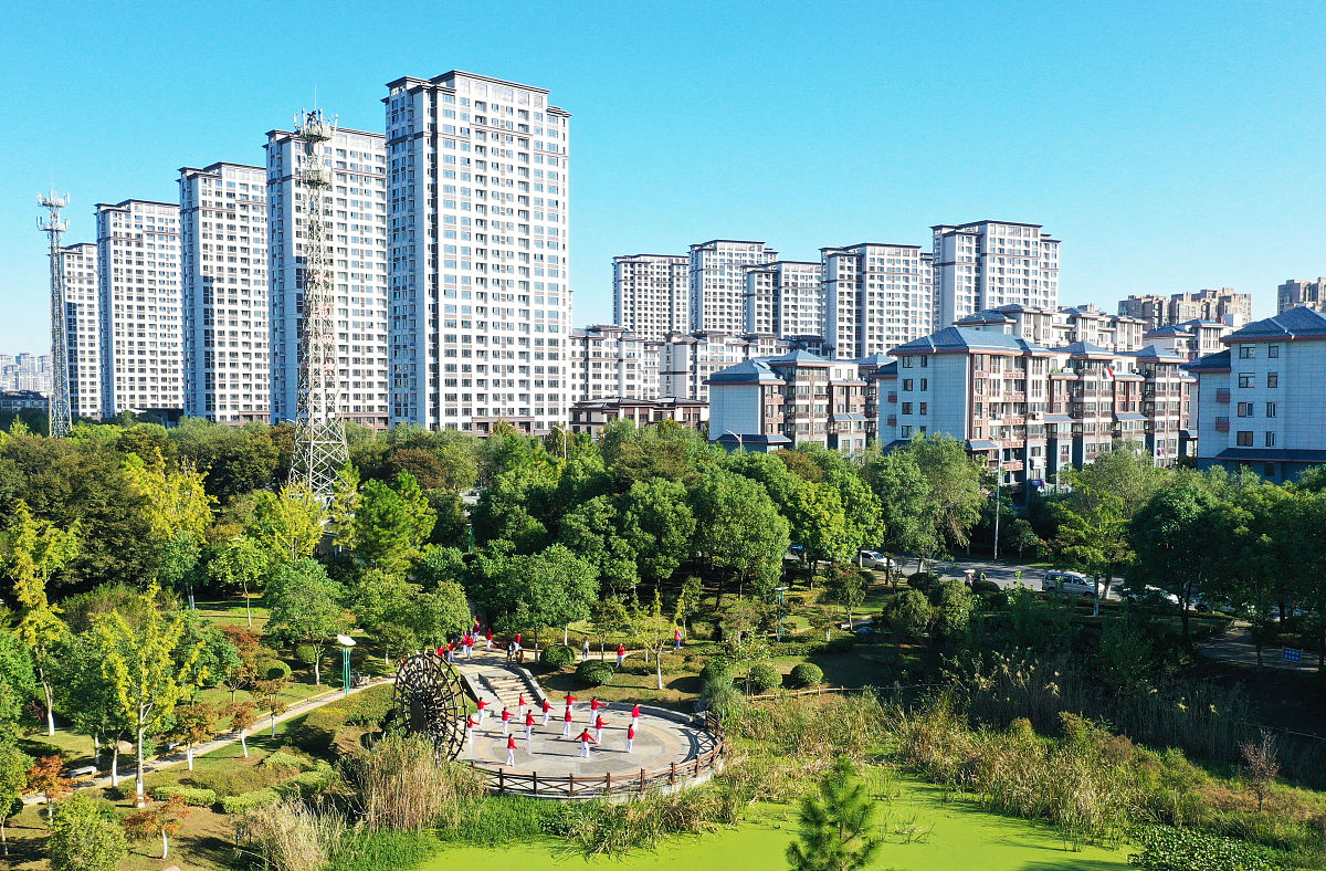 延安市宝塔区大树进城存在的问题及对策分析的研究目的与意义不少于600字。