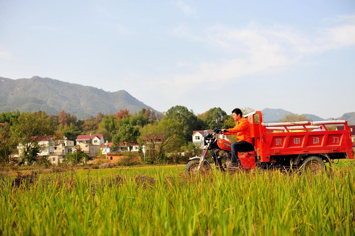 淘宝退货前要确认收货吗？退货规则介绍