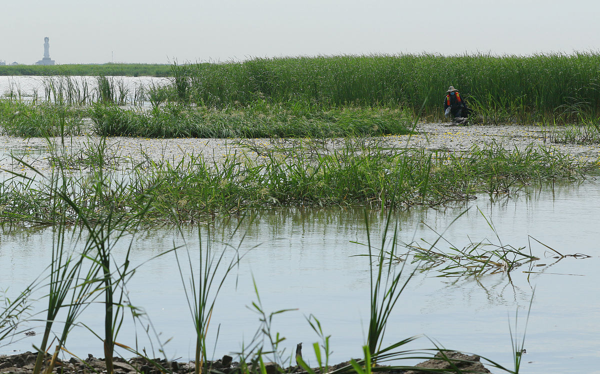 黑龙江农业经济职业学院健康管理专业怎么样？就业前景、实践教学、研究方向