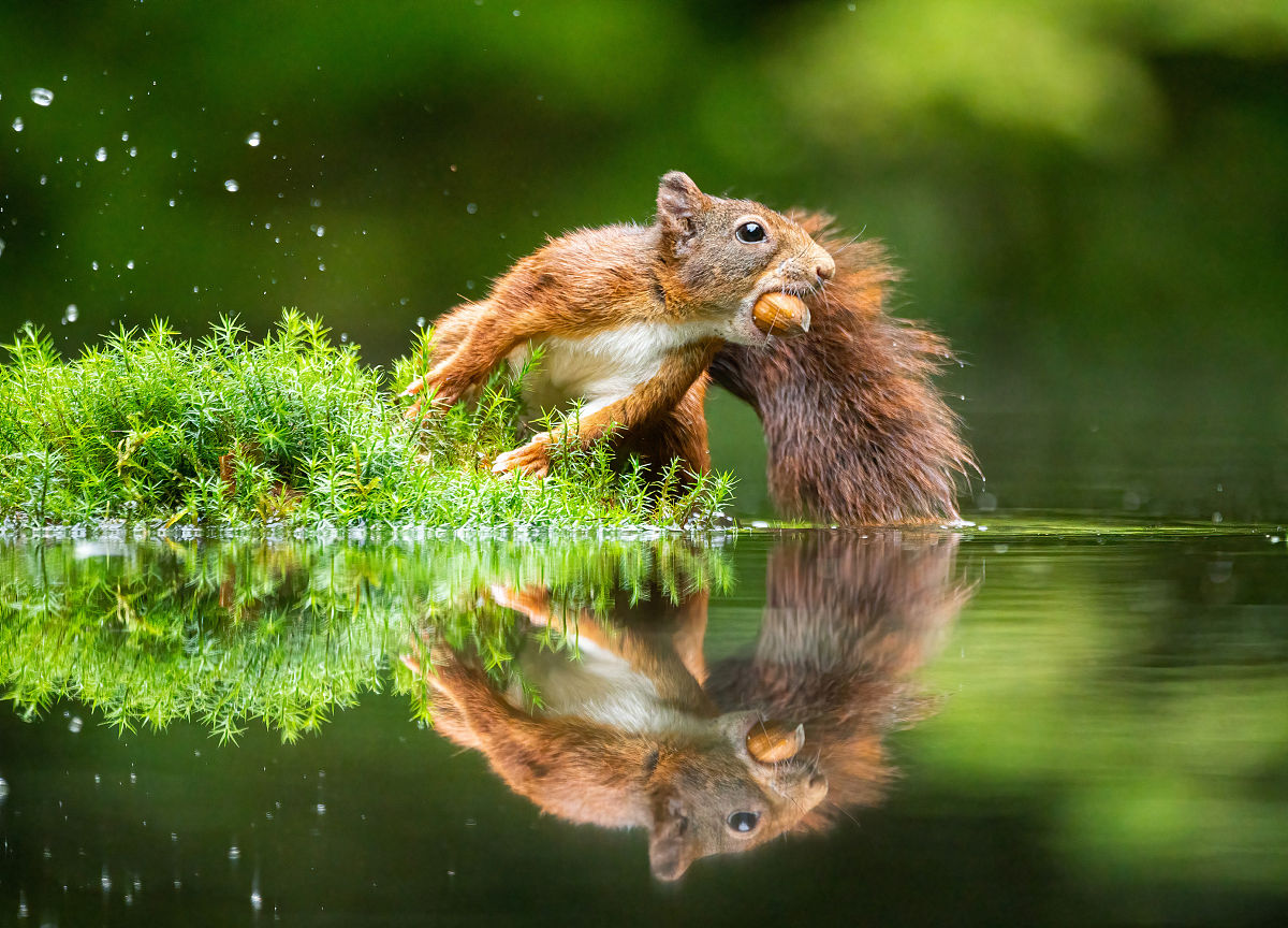 如何在摄影大赛拿奖