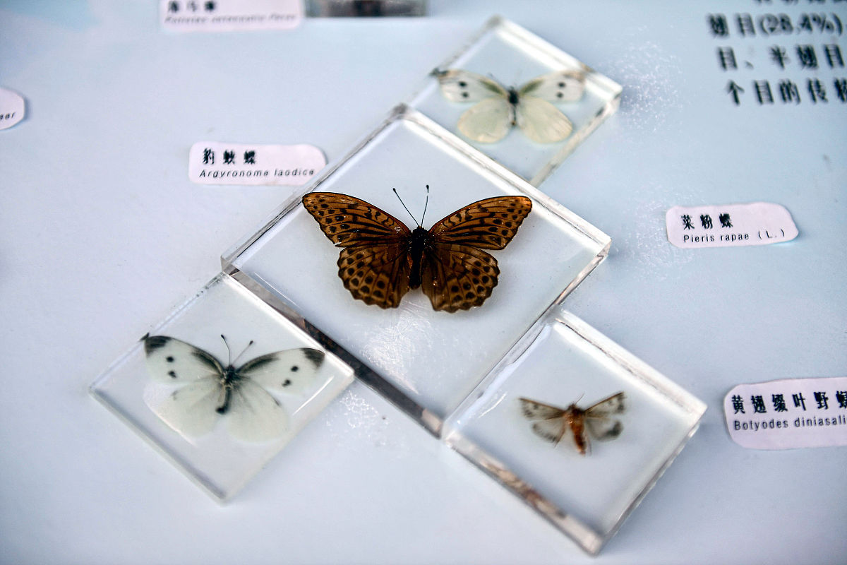 辽宁工贸学校计算机应用专业怎么样？