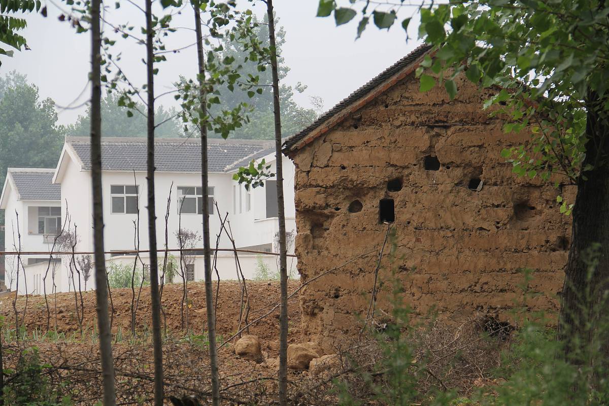 盘活农村闲置资源：空闲用地、农房和宅基地有效利用策略