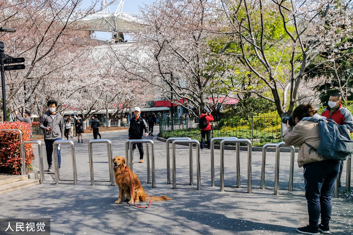 2020年2月23日,上海,有着"最美地铁口"之称的地铁8号线虹口足球场外的