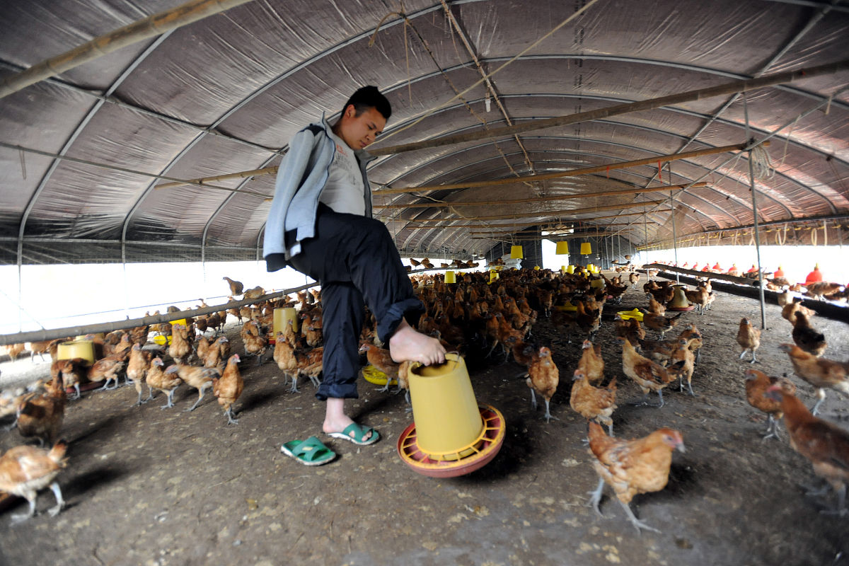 2020年重庆涪陵实验中学招生简章 - 重庆重点中学招生信息