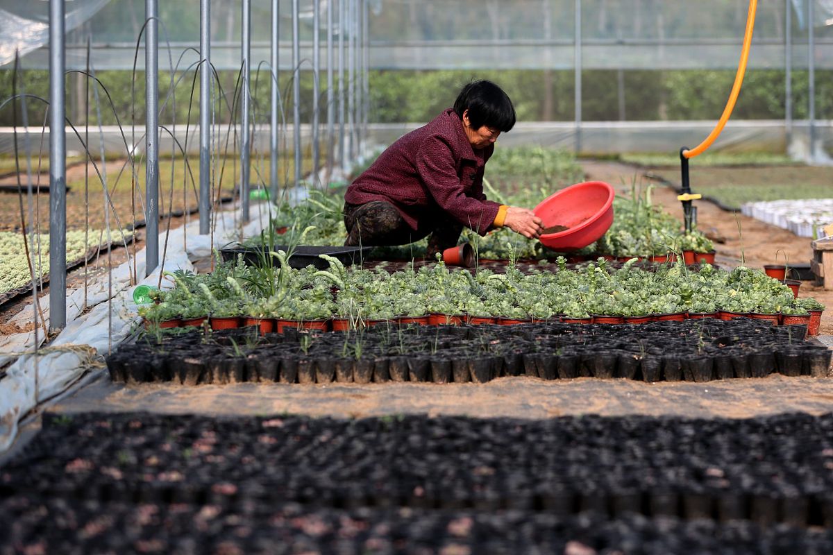 陇南农业学校2023年新增专业：生态农业、现代农业技术、农村经济管理