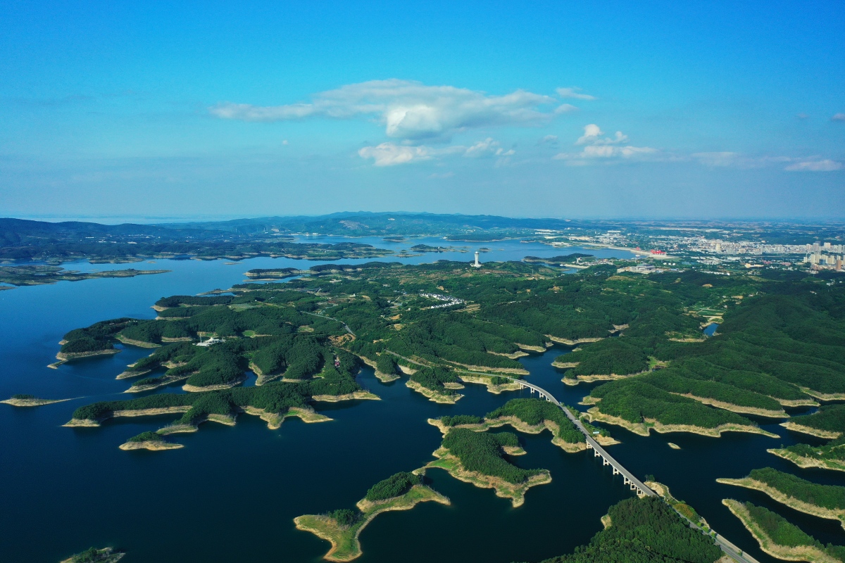 洪湖藕带,品味湖北风味 【水天一色,三峡大坝壮丽之旅】 六月的湖北