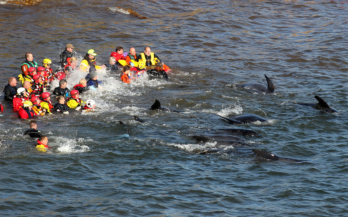 湖州学院秘书学专业介绍