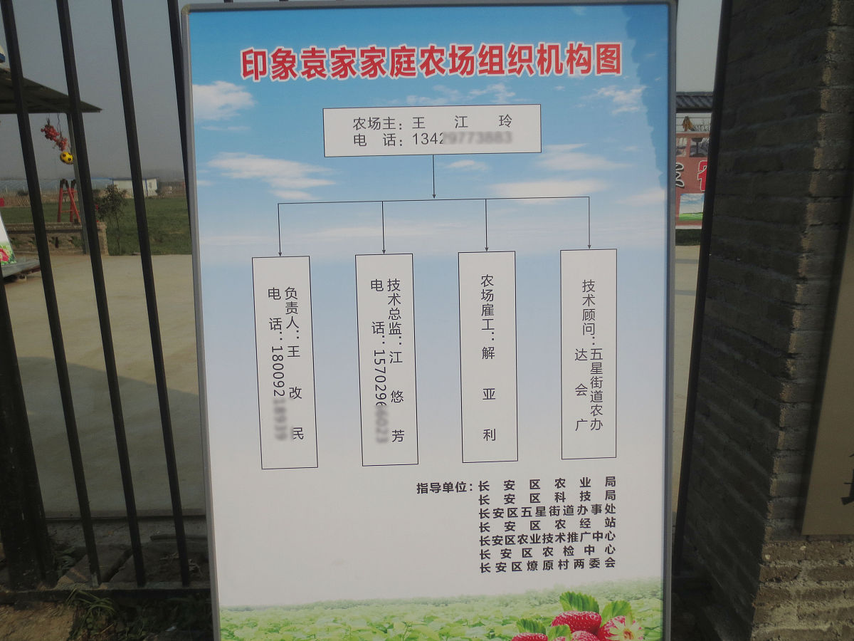 网格化治理还可以被称为