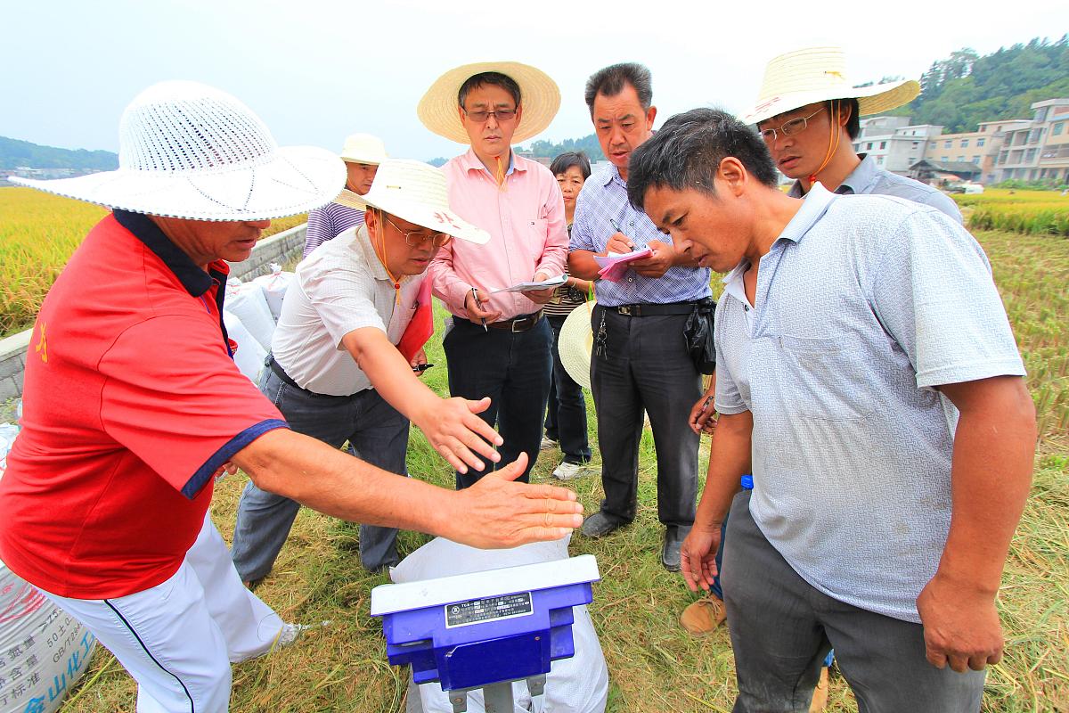 民生实事工程项目完工后邀请群众参与
