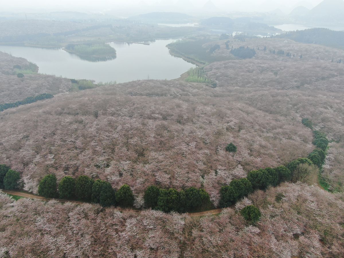 贵阳市幼师专业大专学校推荐：2021年热门院校盘点
