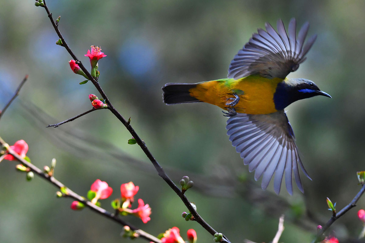贵阳读中专学校要多少钱用发散