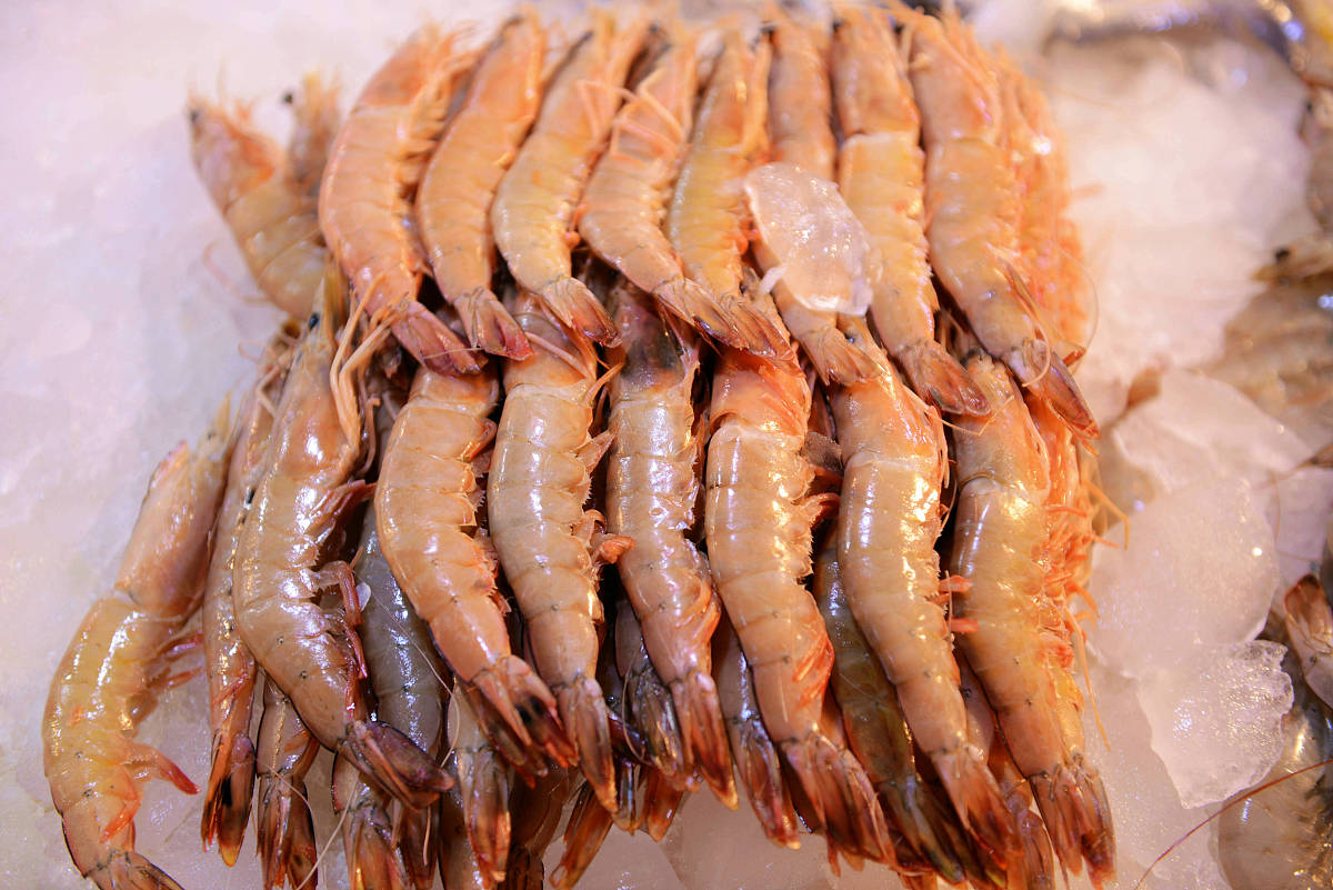 山东的大虾多少钱一斤