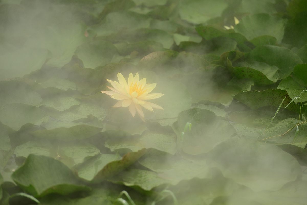 六根清净是什么