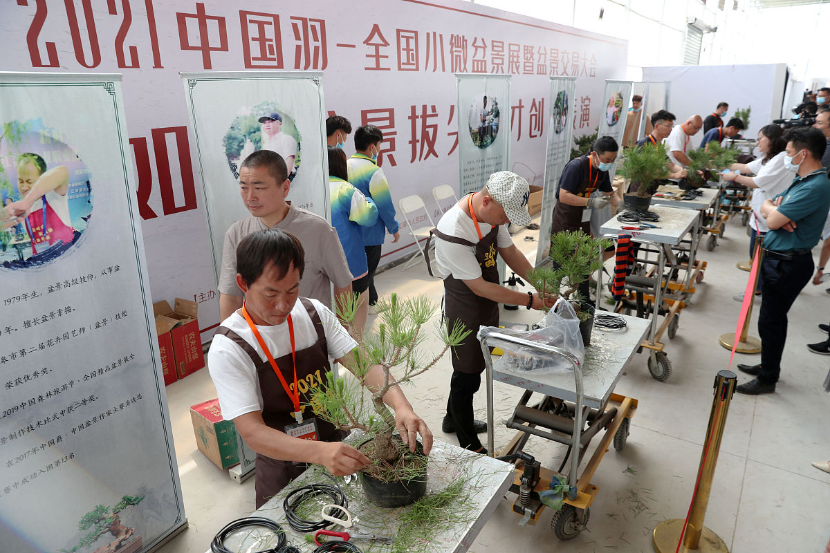 2010年全国农业职业院校技能大赛重庆选拔赛圆满举行