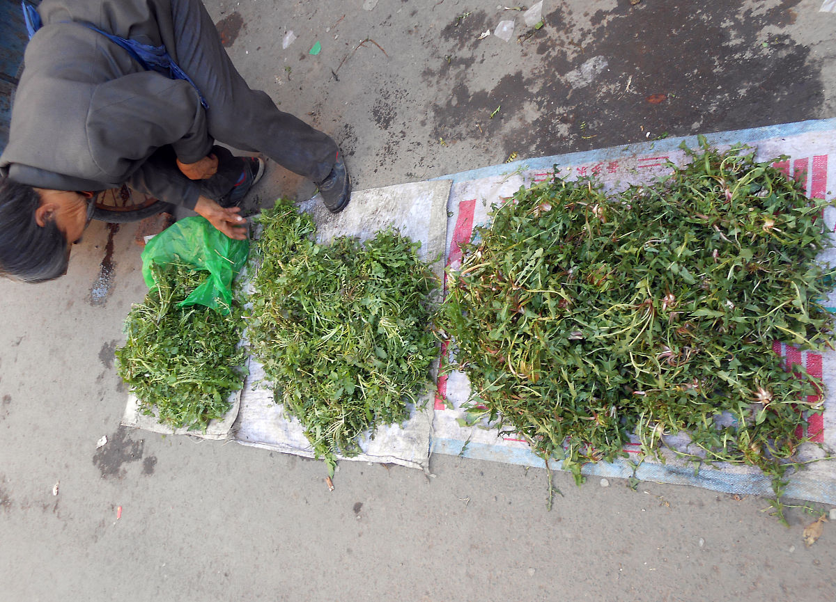 万年青和梅干菜的区别