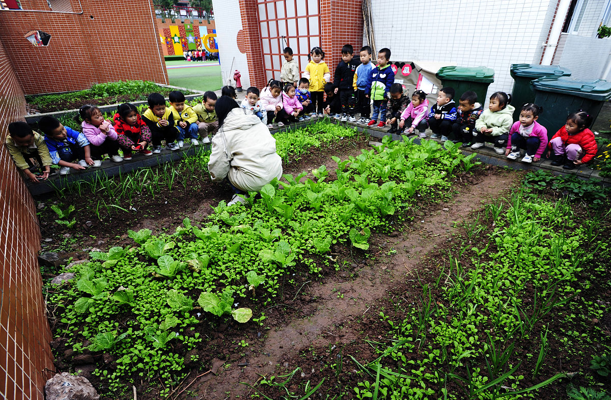 贵阳幼师职业学校毕业生就业前景及职业发展建议