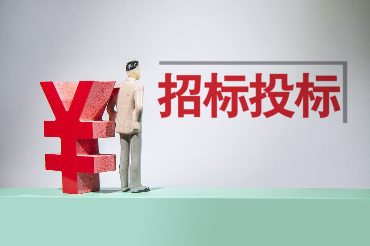 投标价格过高废标的解释