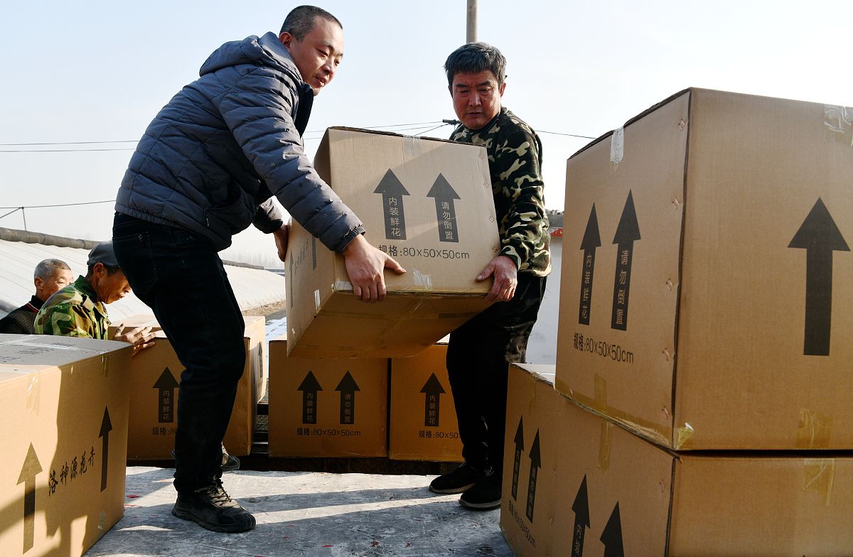 阜南农林科技学校2021年招生专业：农业、林业、环境科学、生物技术等