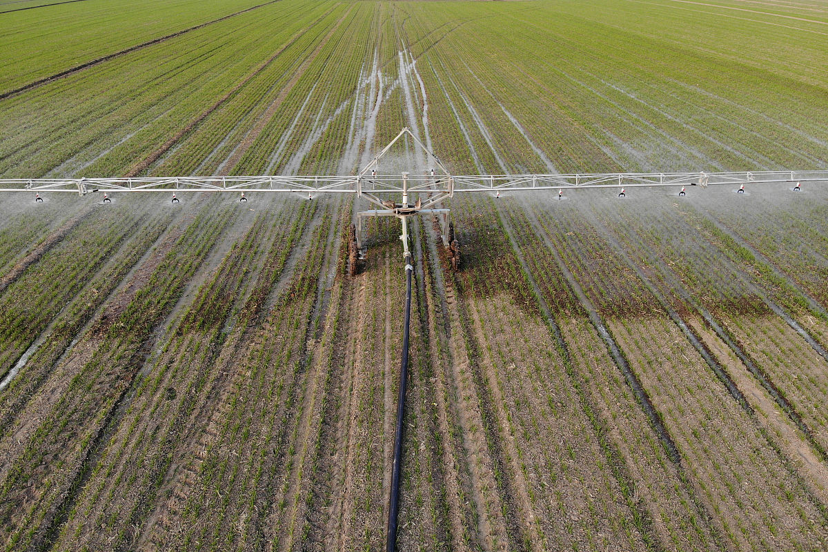 临沂科技职业学院现代农业技术专业如何好学吗