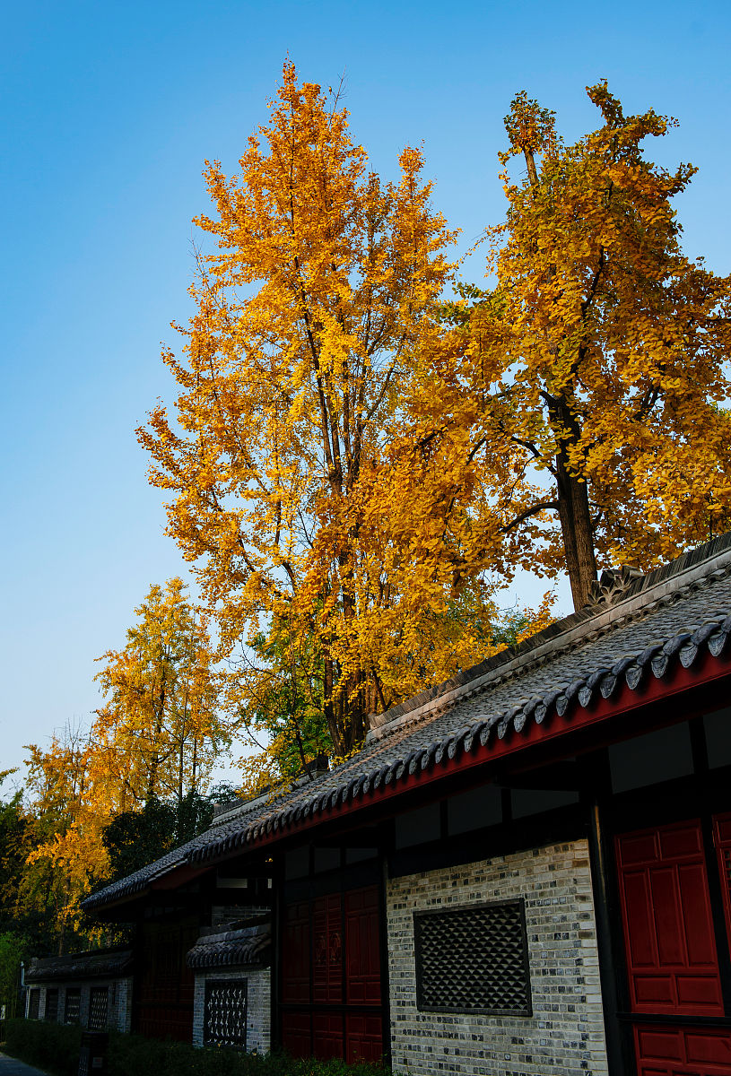 成都华夏旅游商务学院：培养旅游商务人才，助力行业发展