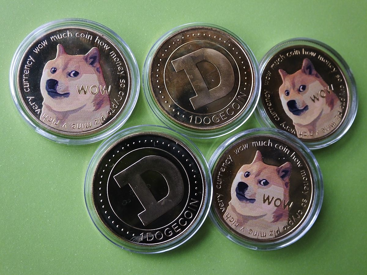 狗狗币吉祥物推动市值增长250%：小狗效应带动加密货币热潮