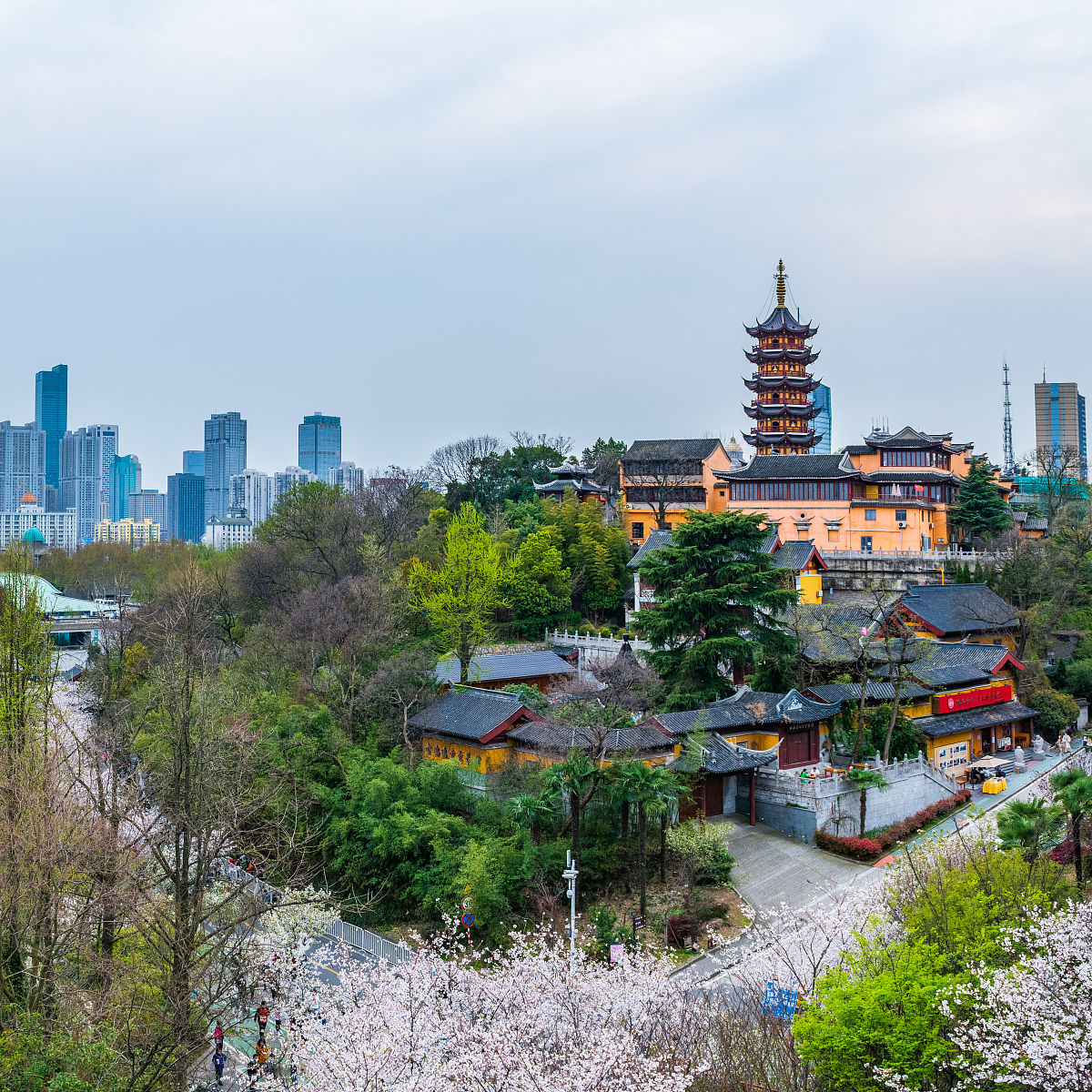 2020年3月22日,南京,鸡鸣寺的樱花.