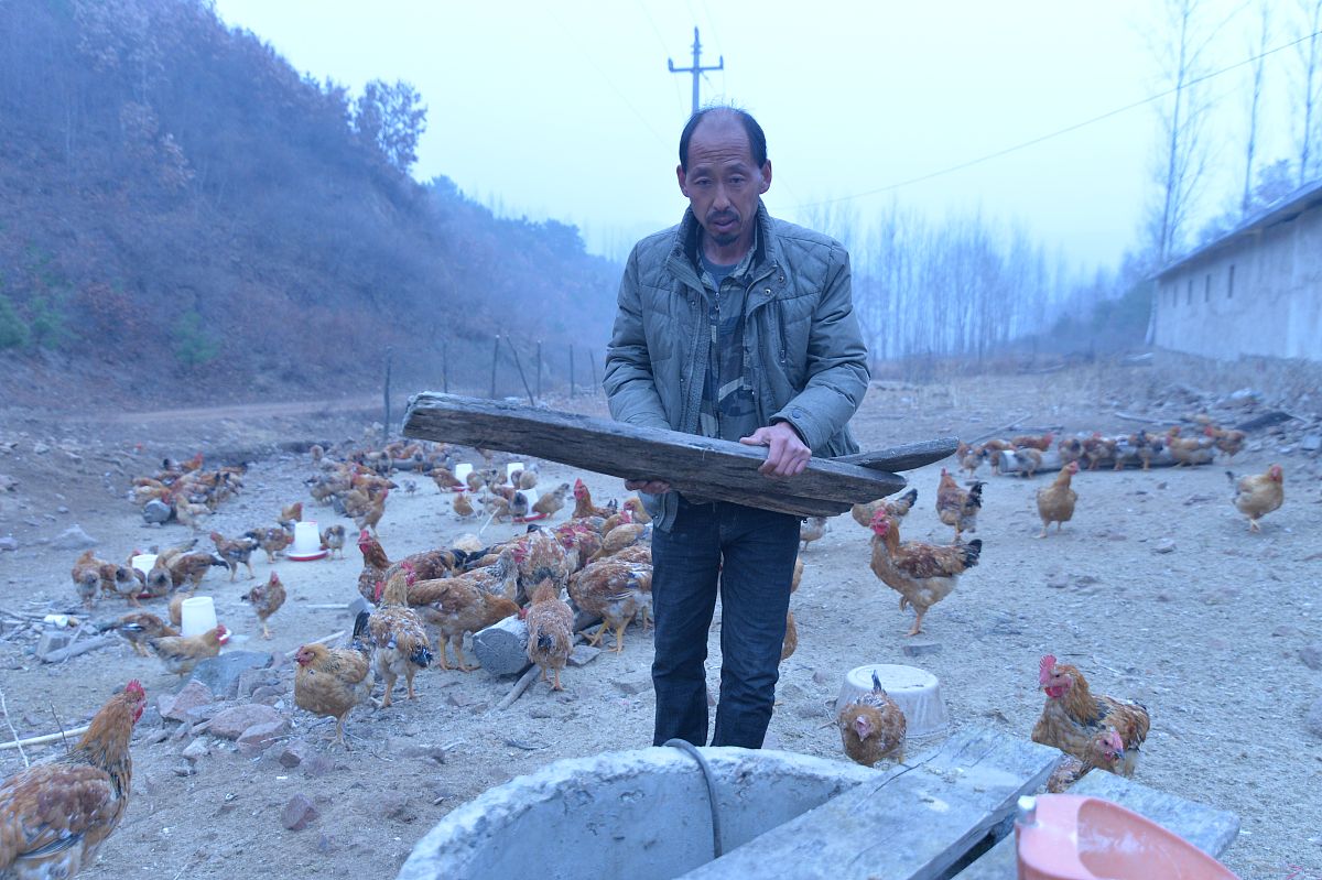 取几个温柔的女生网名
