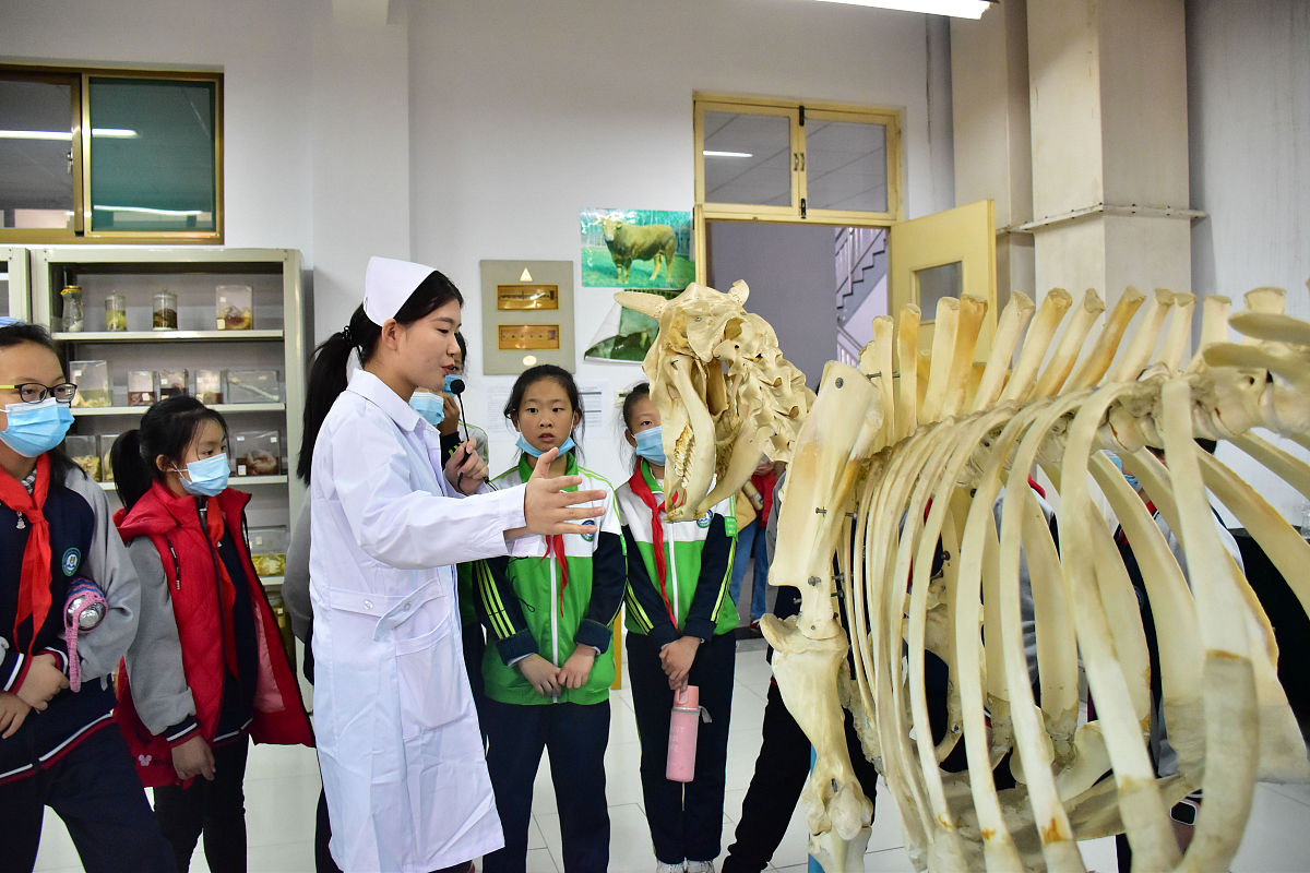 四川省宜宾卫生学校护理专业都学些什么