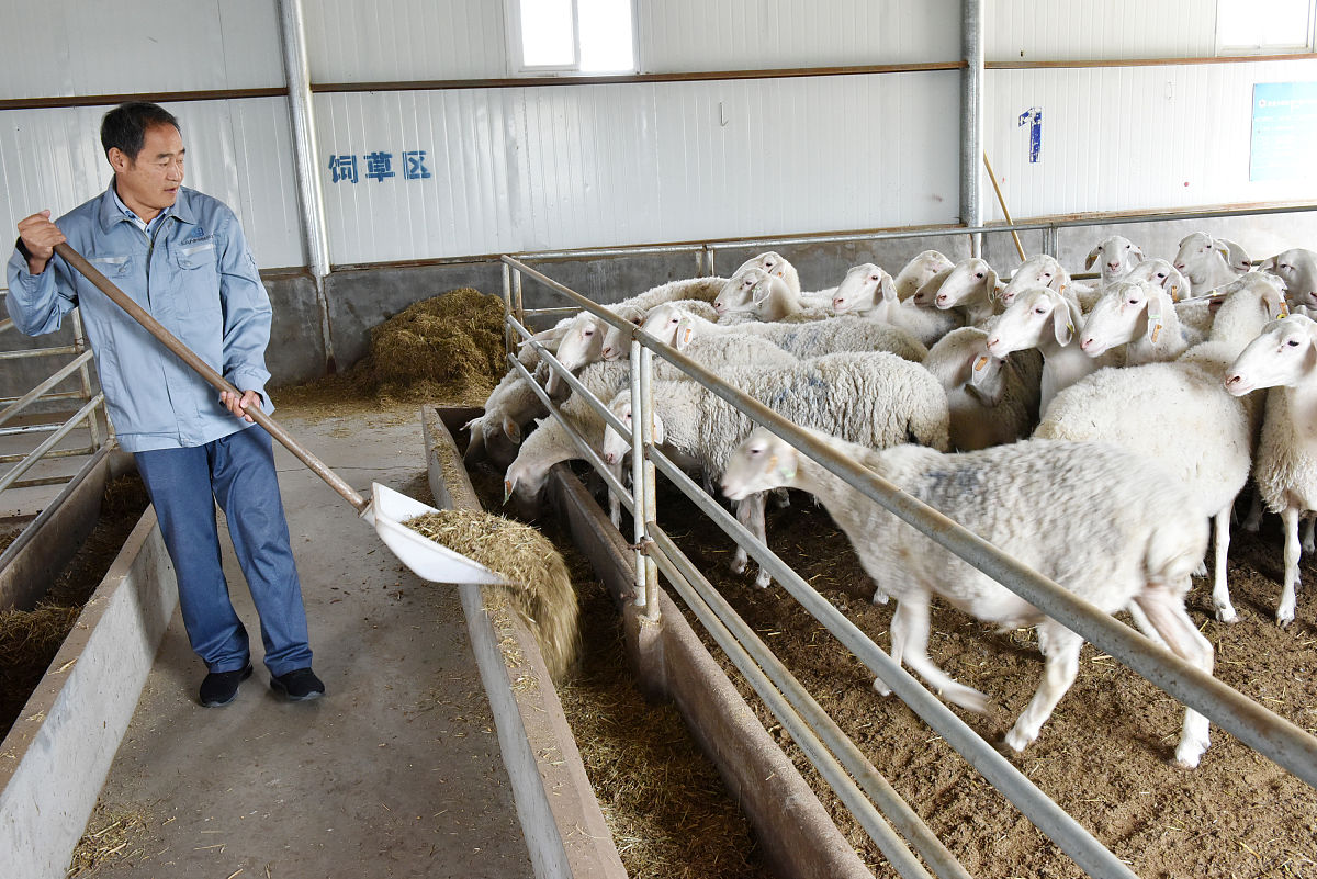 曲靖畜牧养殖学校五年制招生报名网站 - 培养畜牧养殖专业人才