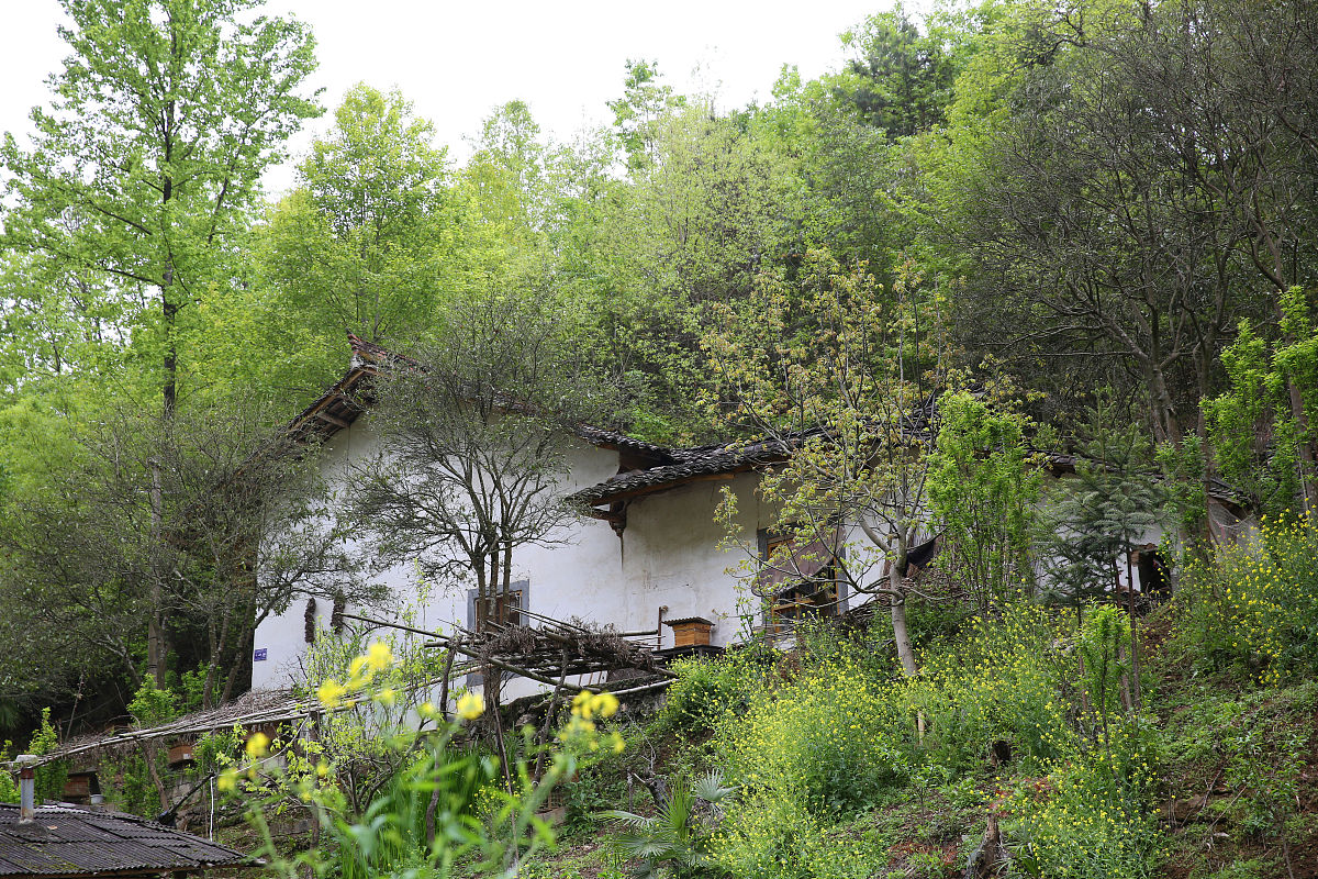 长沙市林地分等定级标准及流程 - 科学管理林地资源