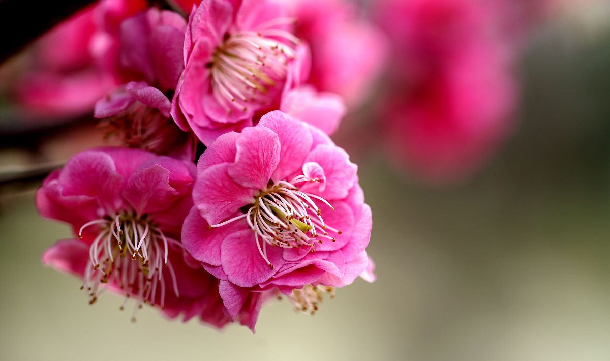 鸡泽职教中心2022年招生专业有哪些？热门专业及课程推荐