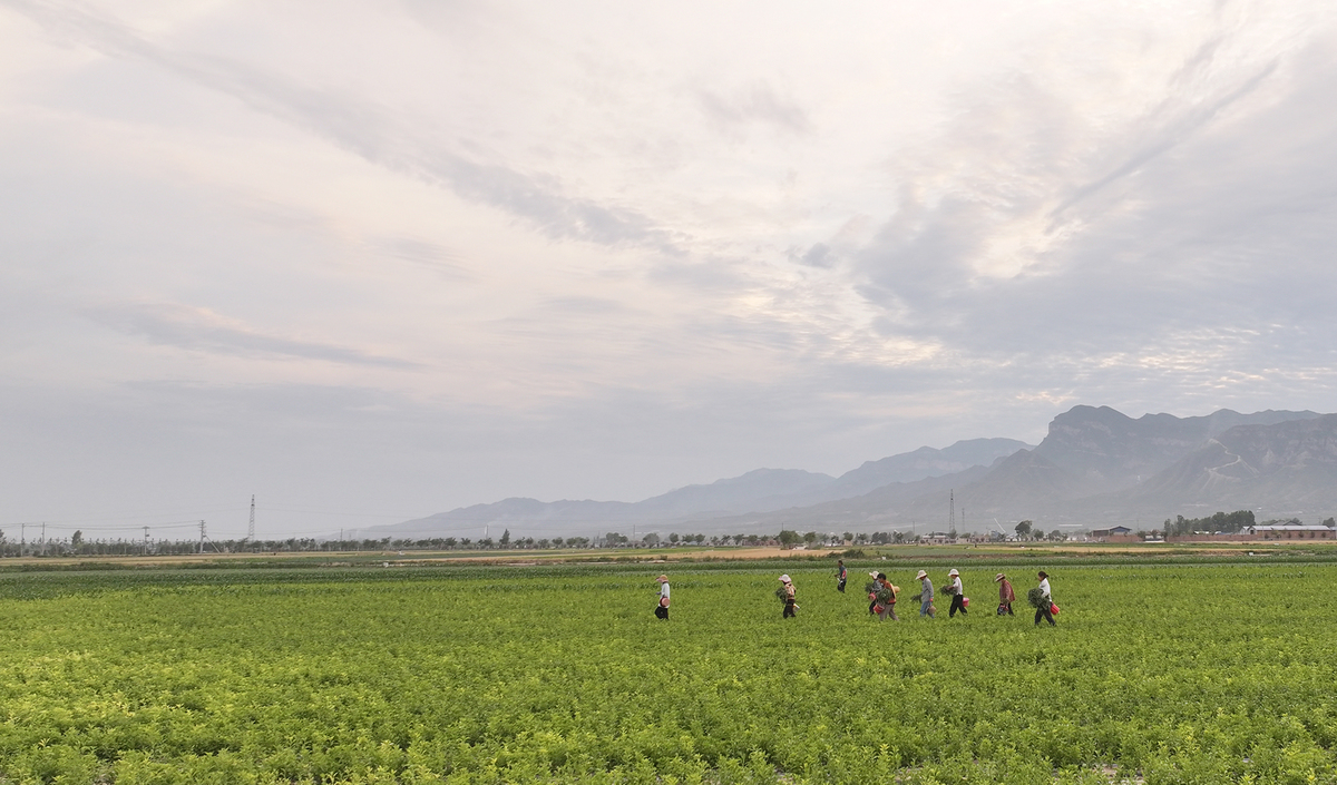 山西卫生健康职业学院口腔医学技术专业涉及哪些课程