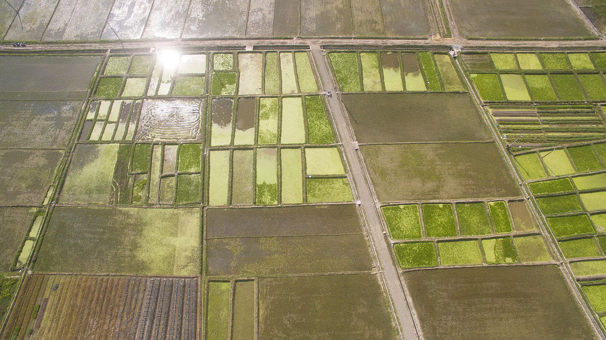 春天诗歌：赞美春天的美好与希望