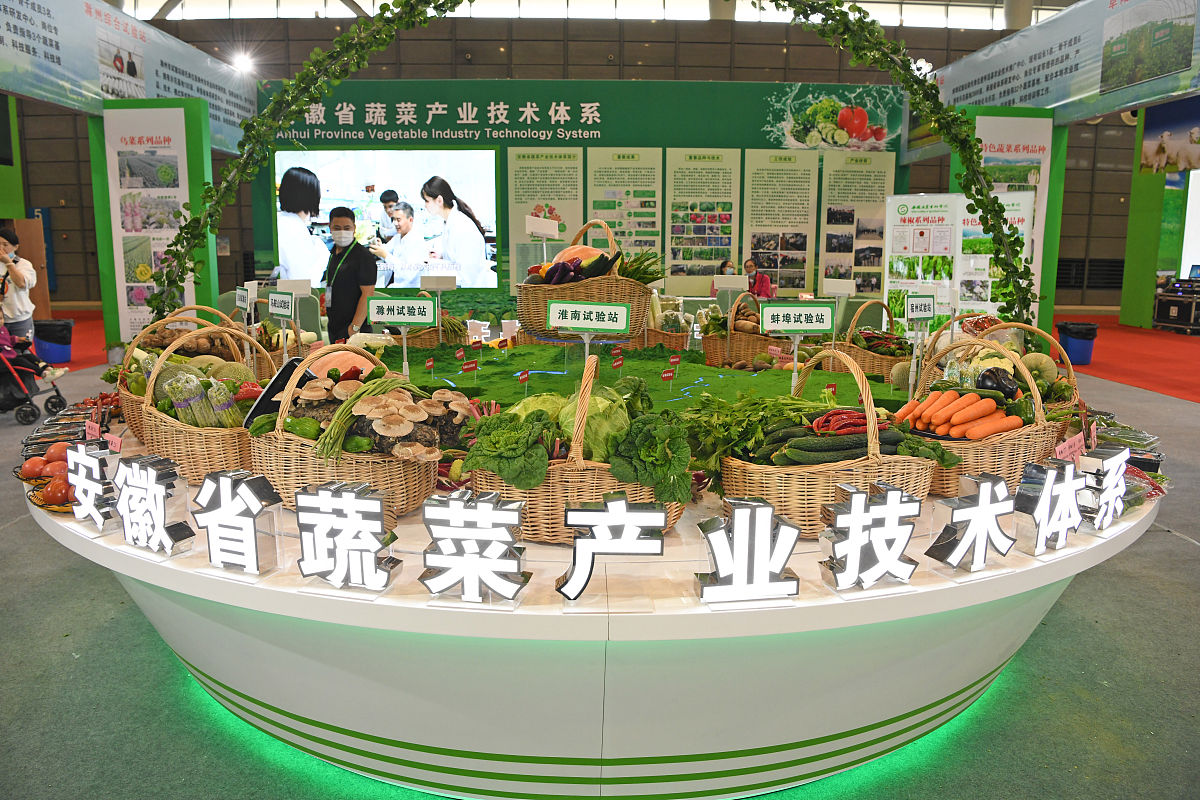漳州农产品直播电商发展挑战与机遇：物流、平台、供应链成关键