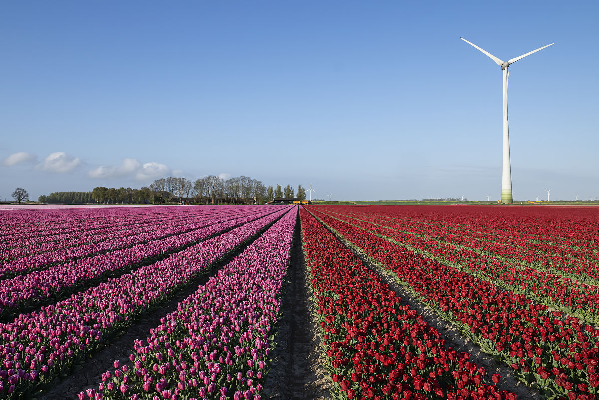 写个关于春天200字偏文言文